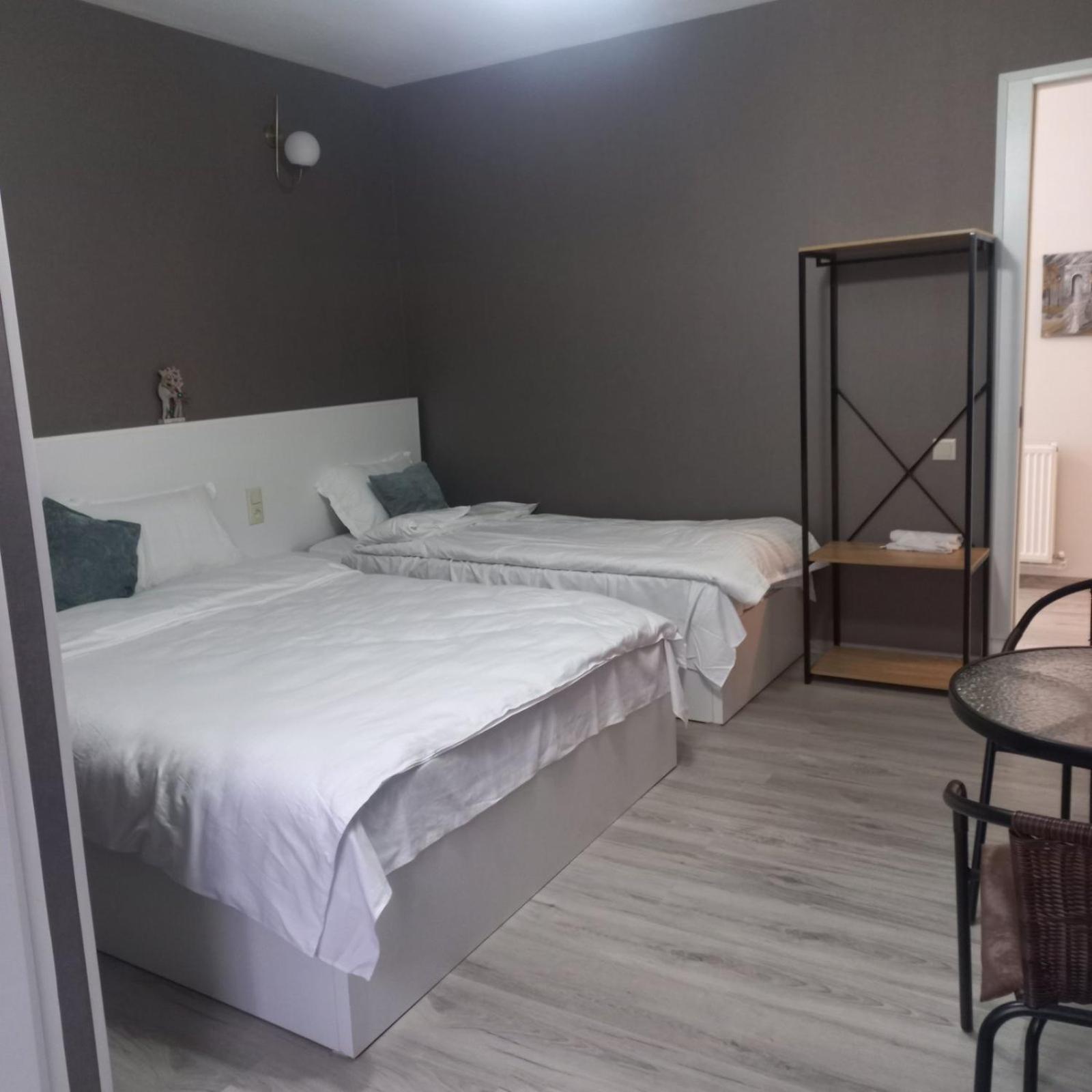 Ira & Vaso'S Guest House Borjomipark Номер фото